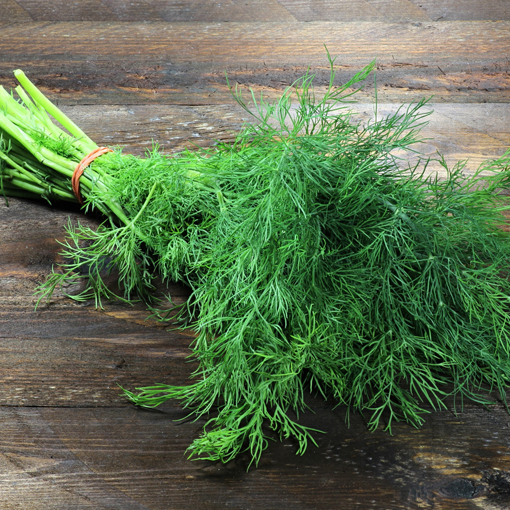 Dill