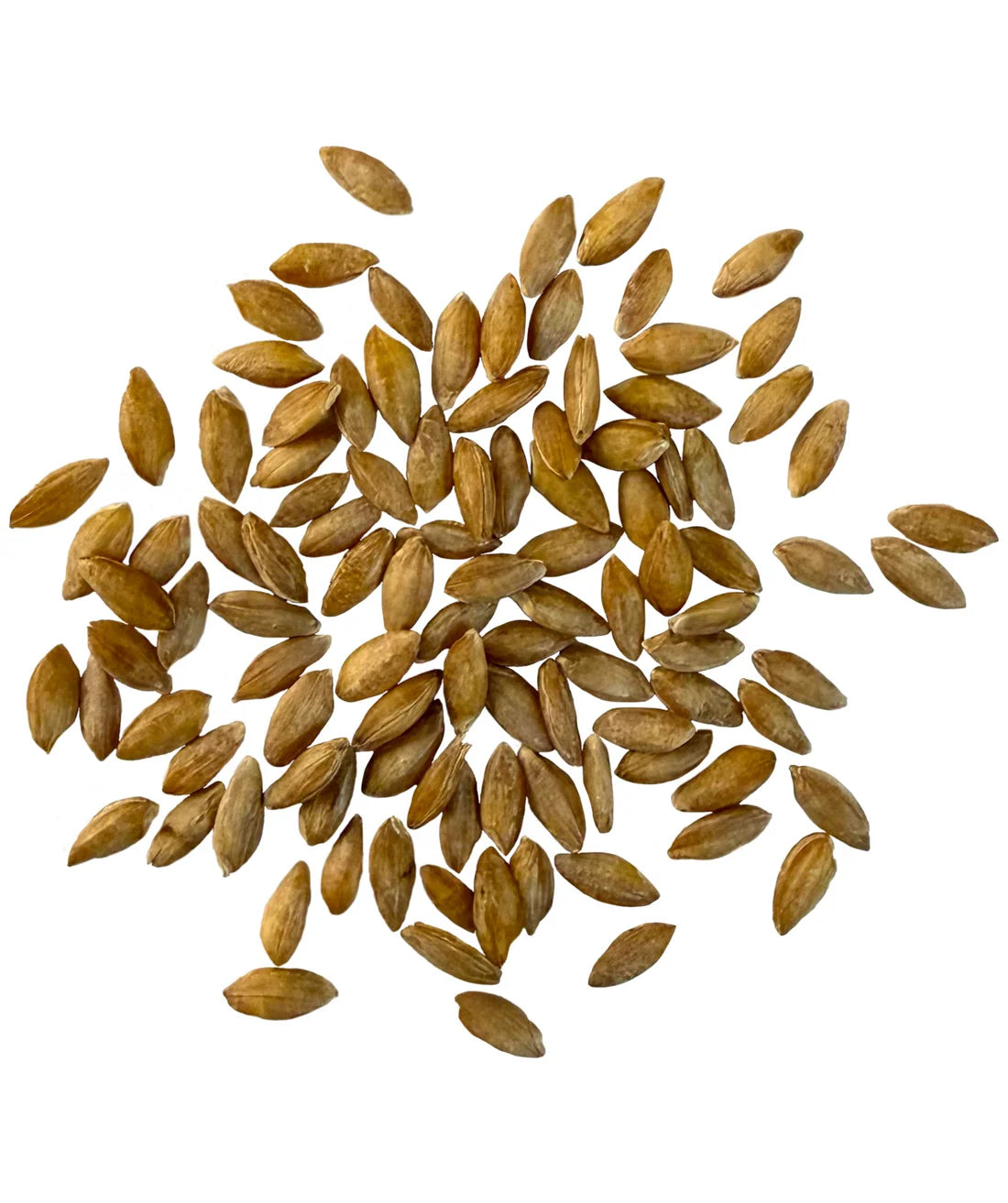 Spelt Wheat Berries (1.5 lbs)