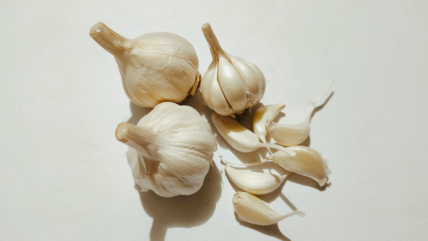 Fresh Garlic