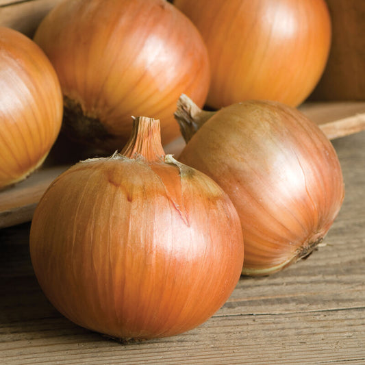 Sweet Onions