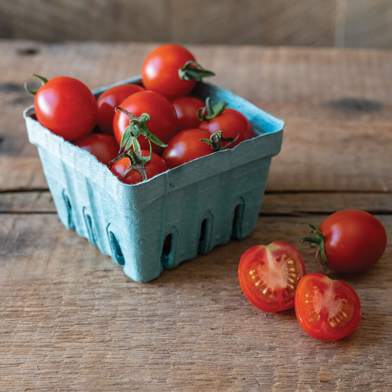Cherry Tomatoes