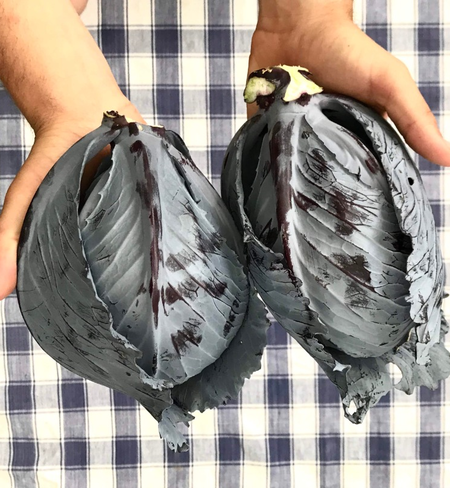Red Cabbage