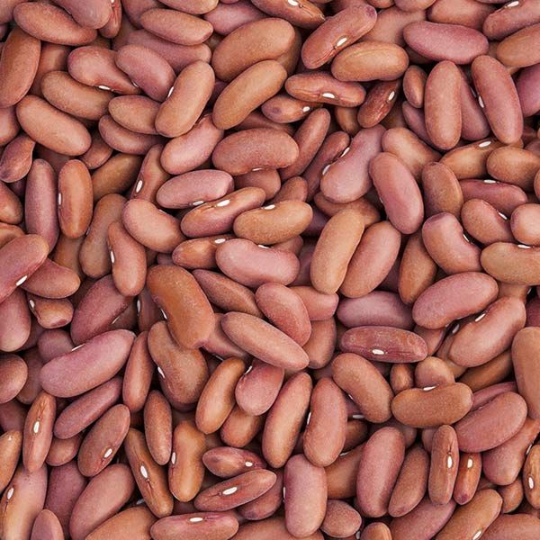 Dry Beans