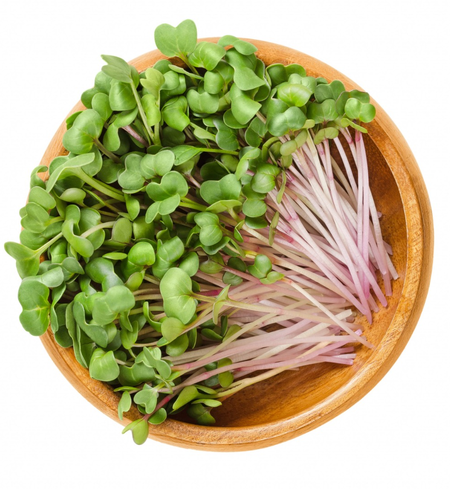 Radish Microgreens
