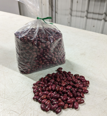Dry Beans