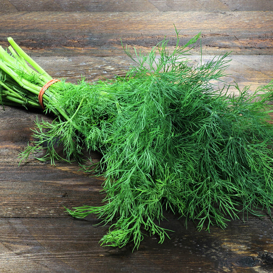 Dill
