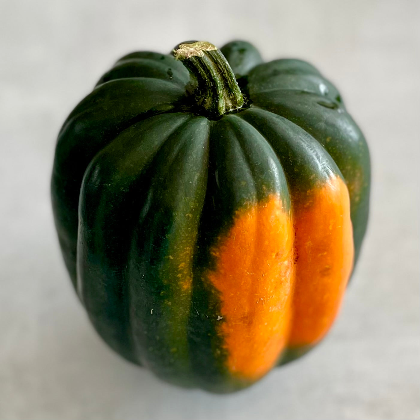 Acorn Squash