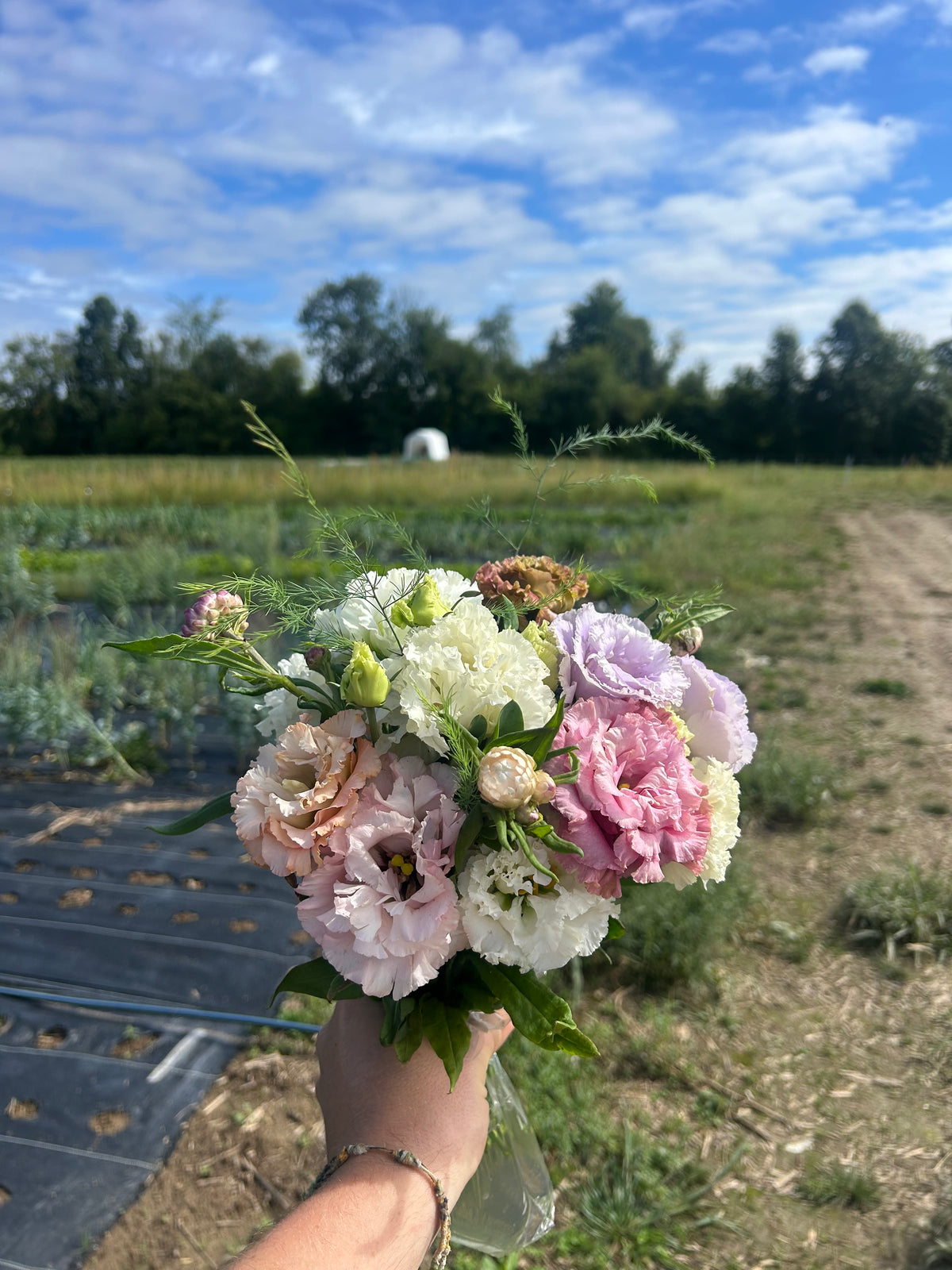 Fresh-cut Flower Bouquet
