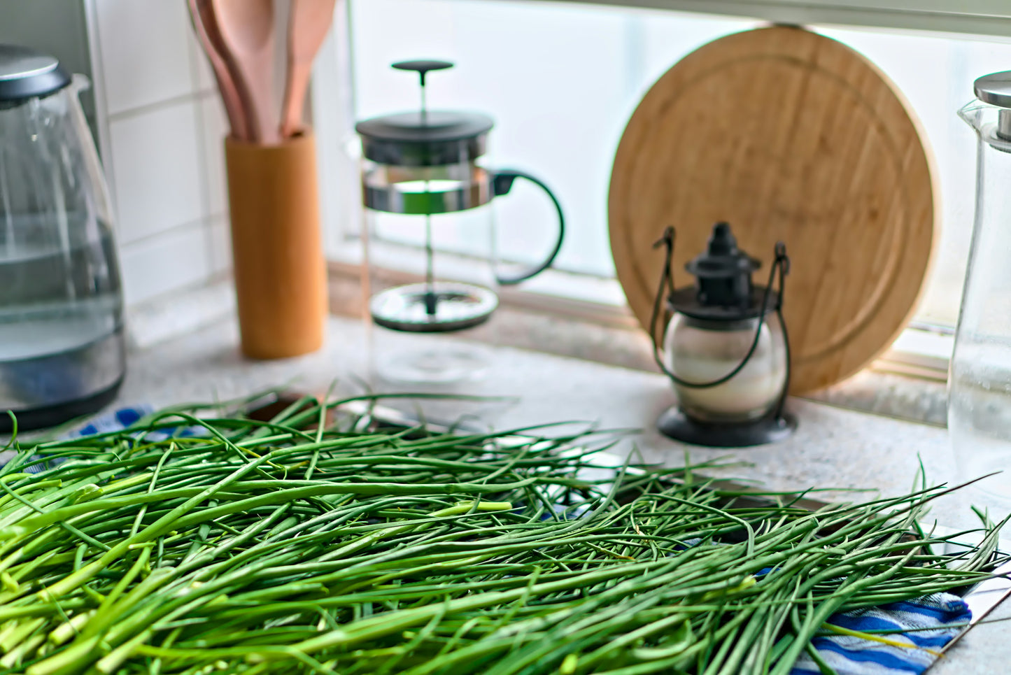Chives