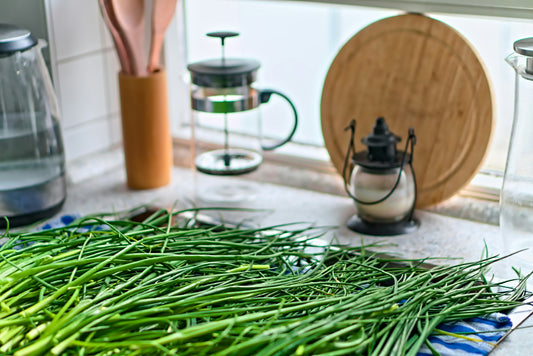 Chives