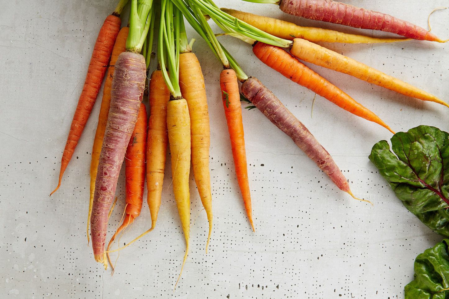 Rainbow Carrots