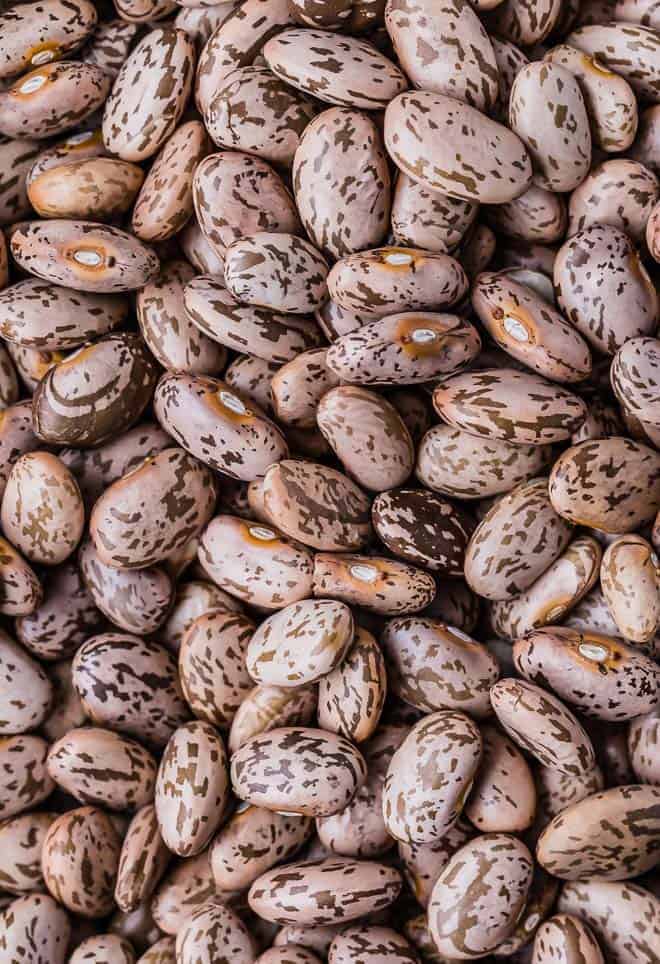 Dry Beans