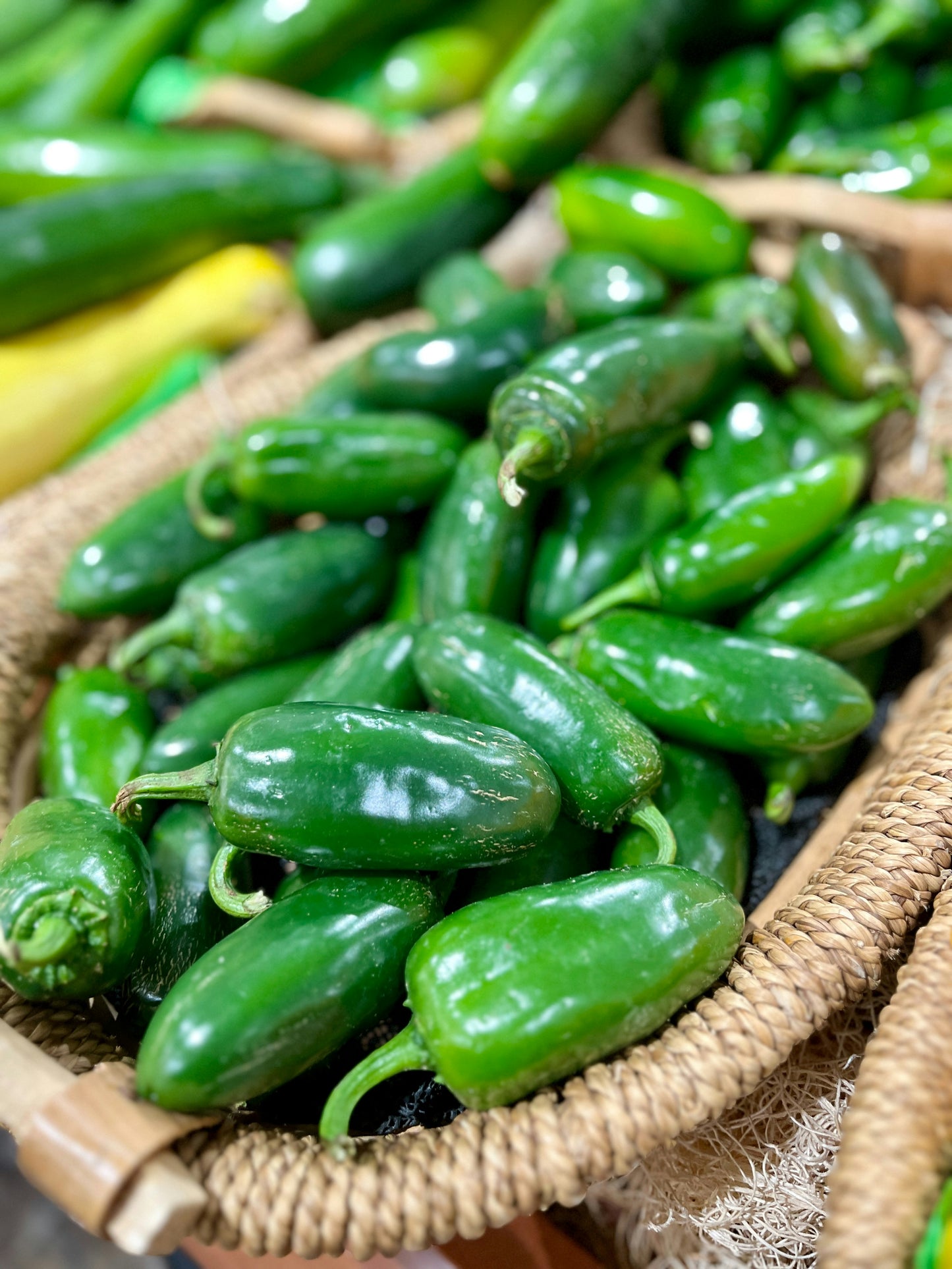 Jalapeno Peppers