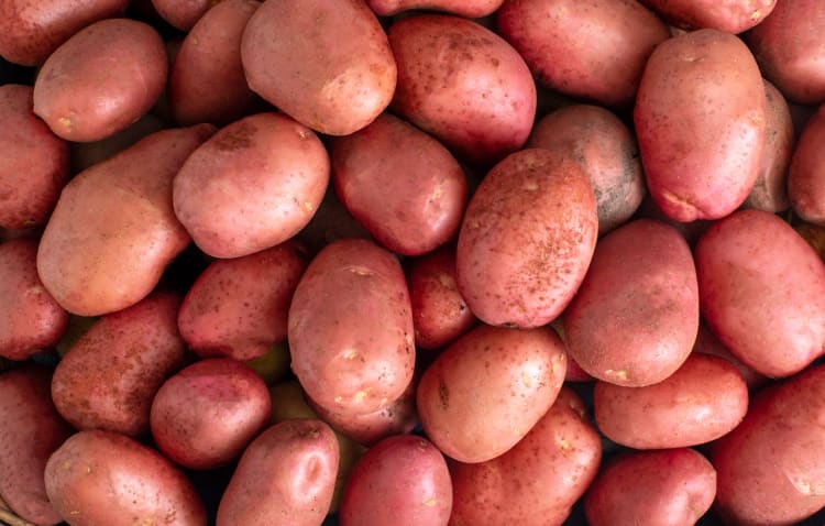 Red Potatoes