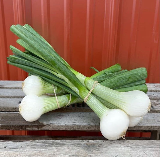 Fresh Onions
